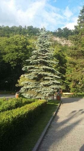 Hostal Guesthouse Malkhaz