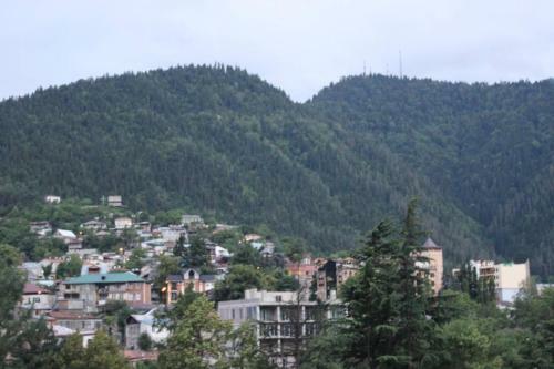 Diasamidzeebi Apartment