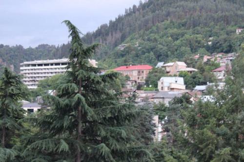 Diasamidzeebi Apartment