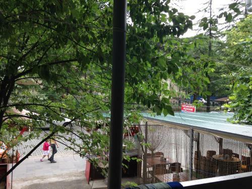 Hostal Guest House Tamari