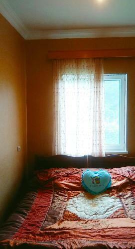 Hostal Weekend House