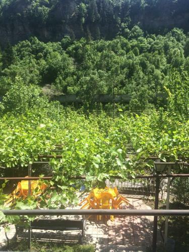 Hostal Borjomi
