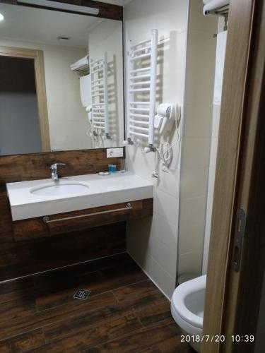 Hotel Orbi Palace Bakuriani 453