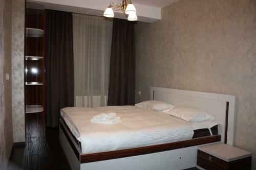 Super Apartment In Bakuriani