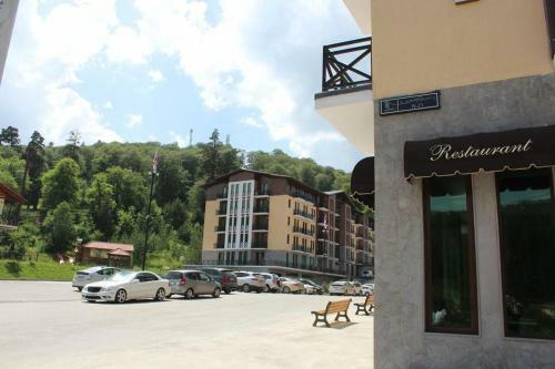 Super Apartment In Bakuriani