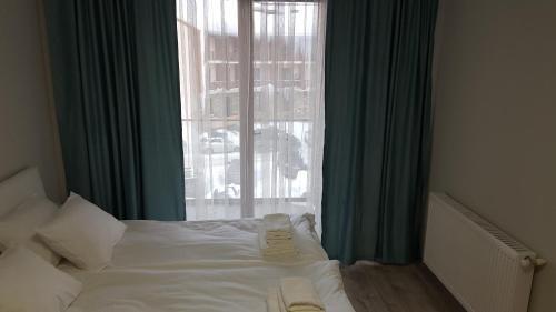 Apartamento New Gudauri, Loft 1