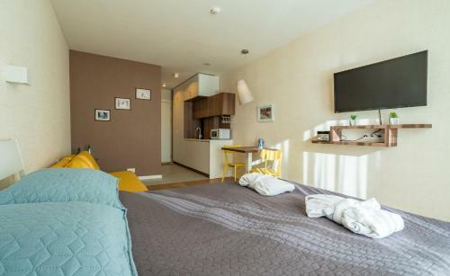 Apartamento Gudauri, Red Co, Loft Ii, Ap. 204