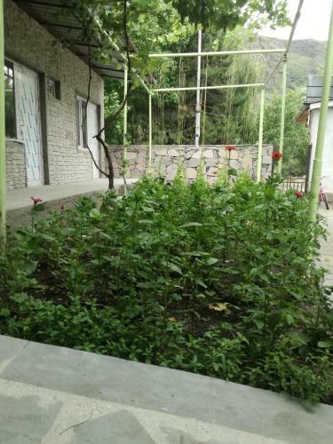 Hostal Guesthouse Barbi Maria
