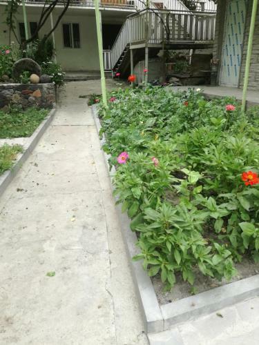 Hostal Guesthouse Barbi Maria