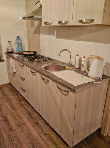 Apartamento Ski House Bluebird
