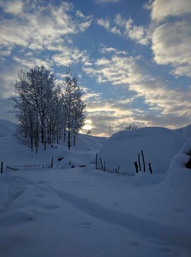 Apartamento Ski House Bluebird
