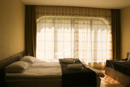 Hostal Shani
