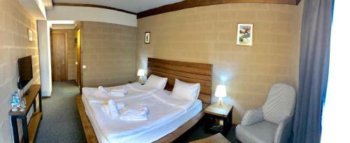 Hotel Alpine Lounge Kazbegi