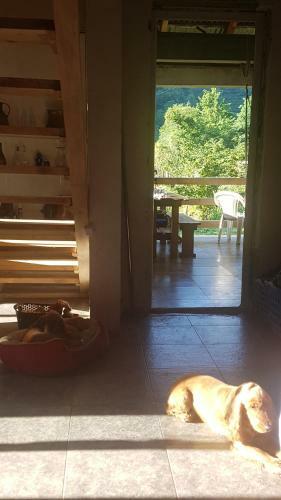 Hostal Guest House Nina