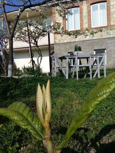 Hostal My Sweet Home