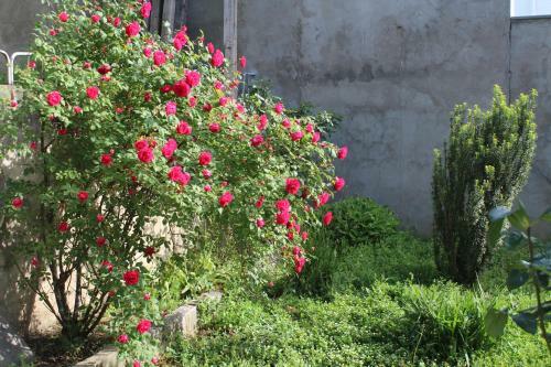 Apartamento Vanjelo