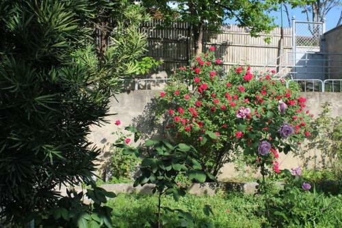 Apartamento Vanjelo