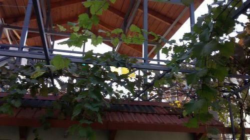 Hostal Guesthouse 26