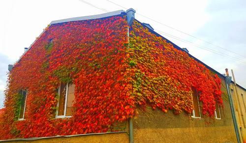 Apartamento Kakheti