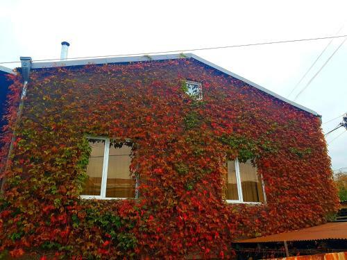 Apartamento Kakheti