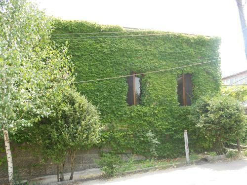 Hostal Guest House Tamada