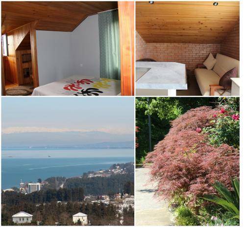 Agroturismo Cozy Home Mtsvane Kontskhi