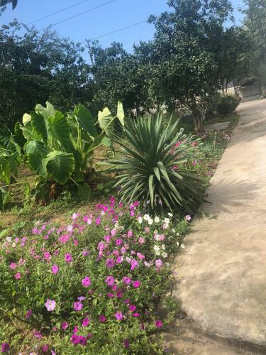 Hostal Cico Guest House