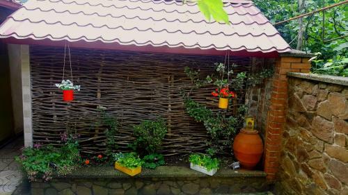 Hostal Guest House On Saakadze 9