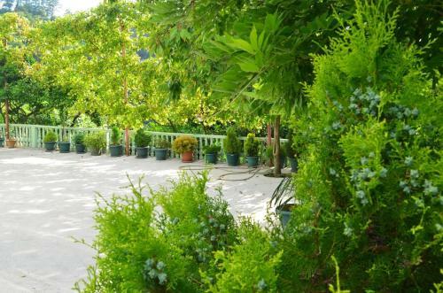 Hostal House Urekhi