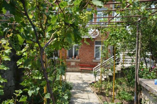 Hostal Friends House In Qd
