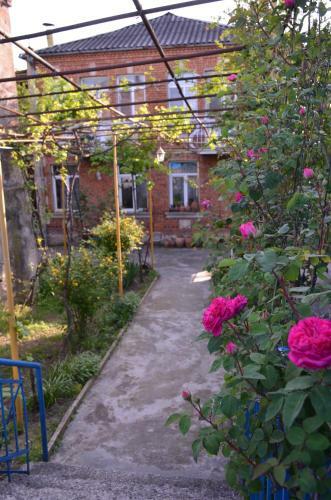 Hostal Friends House In Qd
