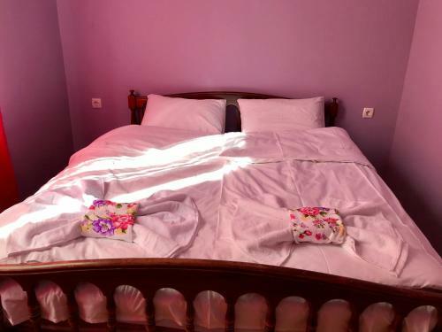Hostal Mimino Guest House