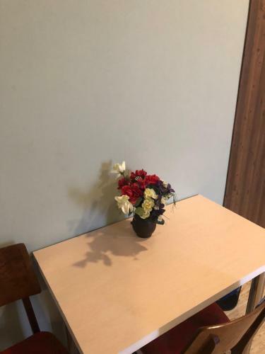 Hostal Mimino Guest House