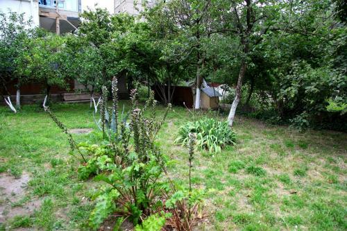 Apartamento Likode