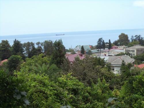 Hostal Maiko's House