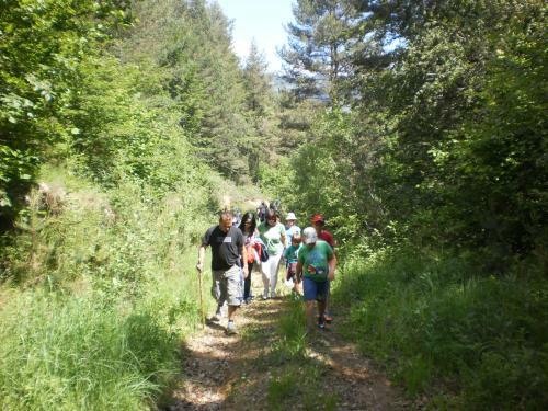 Agroturismo Alternative Tourism Park Vrontou