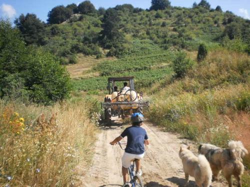 Agroturismo Alternative Tourism Park Vrontou