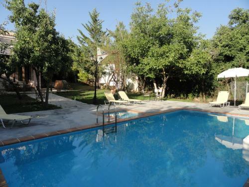 Villa Zeus House