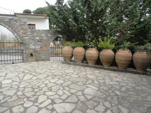 Villa Zeus House
