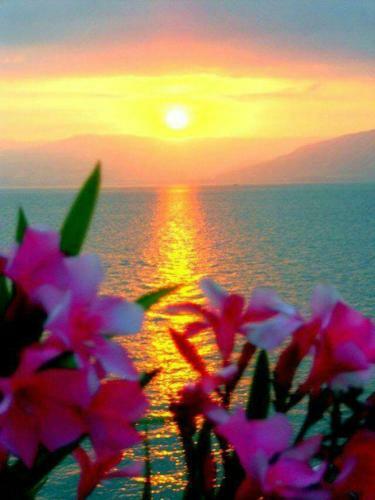 Apartamento Beach Front Kato Zakros