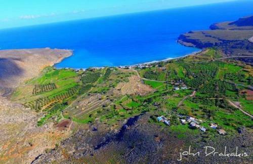 Apartamento Alkioni Sea View