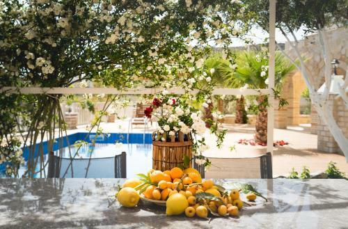 Aristidis Villa-anesis Family