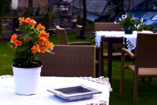 Bed & Breakfast Pansion Anastasia