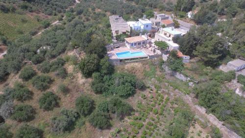 Hostal Metohi House