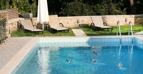 Hostal Metohi House