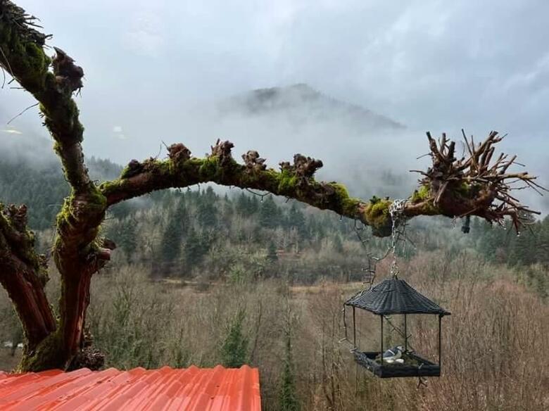 Hostal Magic Mountain