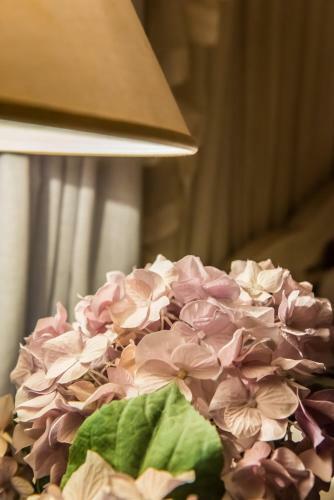 Hostal Anerada Inn Boutique Hotel