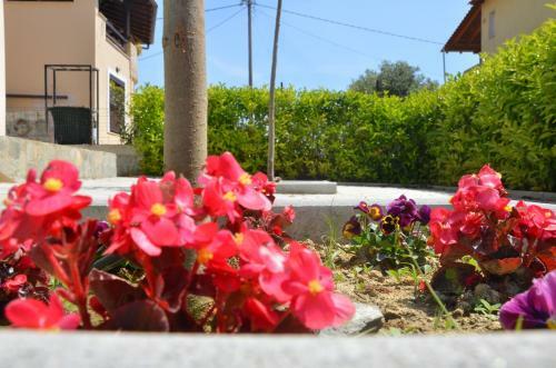 Villa Sunshine