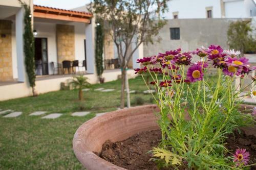 Apartamento Agarathos