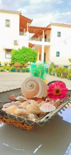 Aparthotel Costa-rini Hotel
